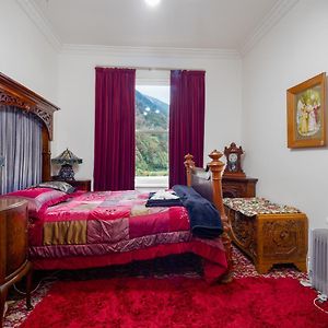 Queen Room [Room 2]